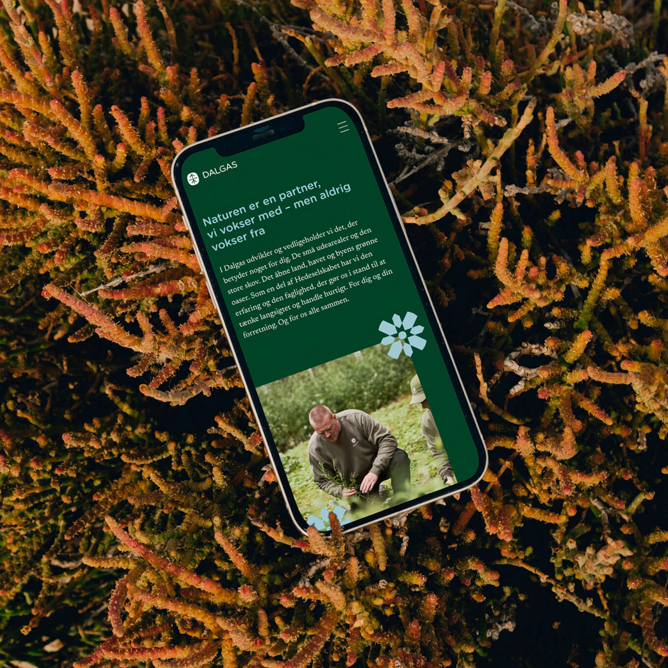 dalgas-mobile-nature