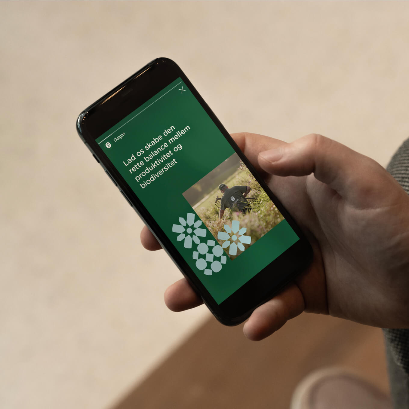 dalgas-website-mobil-optimeret