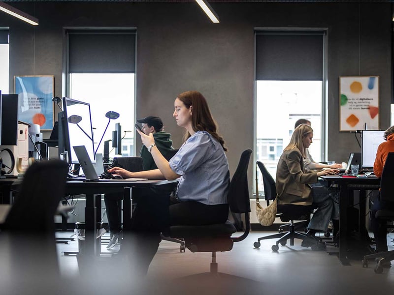 Kolleger arbejder på digitale tilsynsløsninger