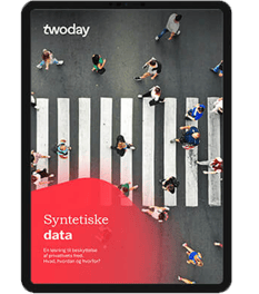 Hent Whitepaper om Syntetisk testdata