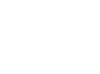 Staedean logo-1